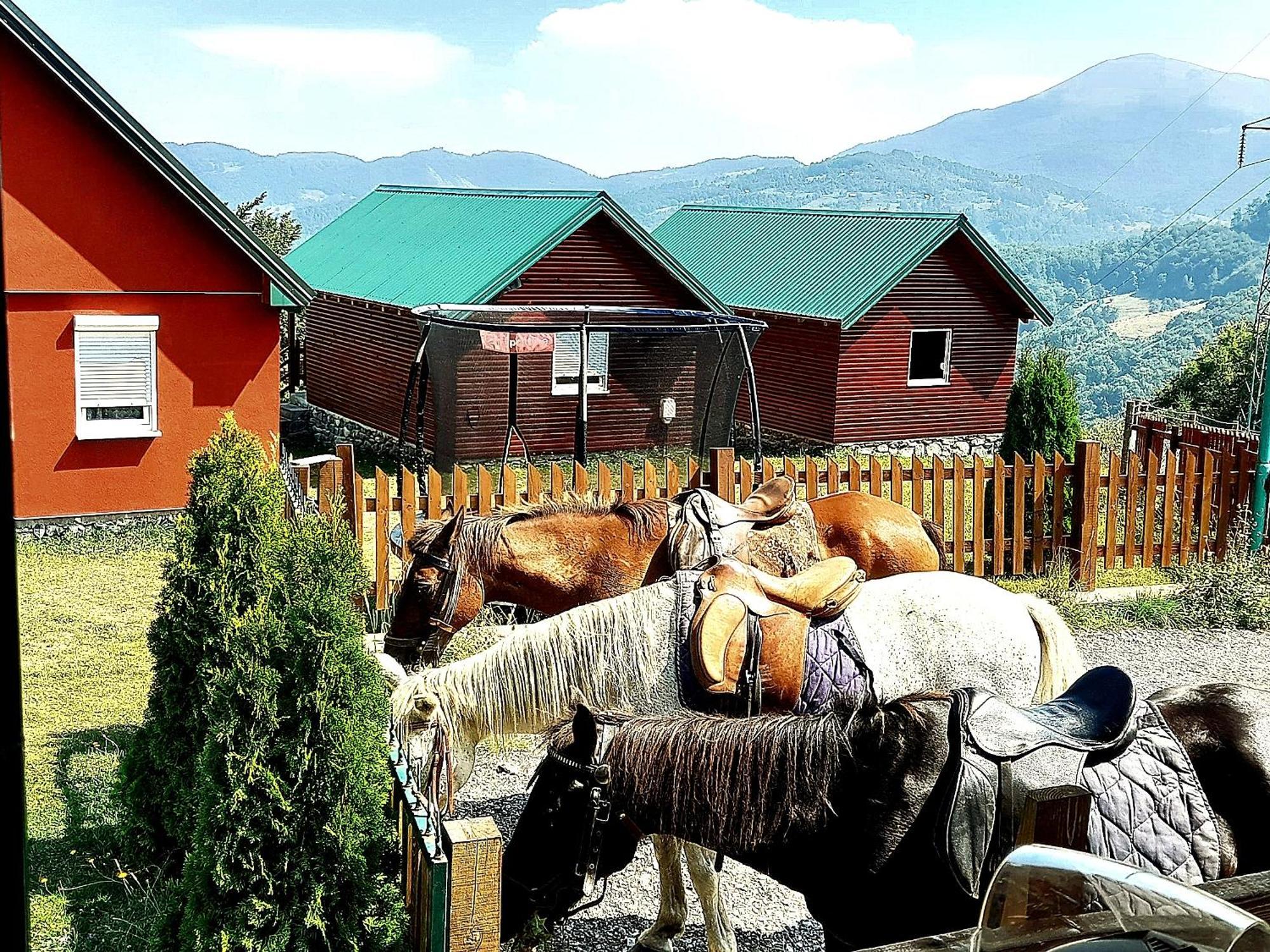 Eco Village Coric Mojkovac Exterior foto